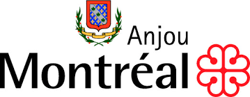 nettoyage de drain ville anjou